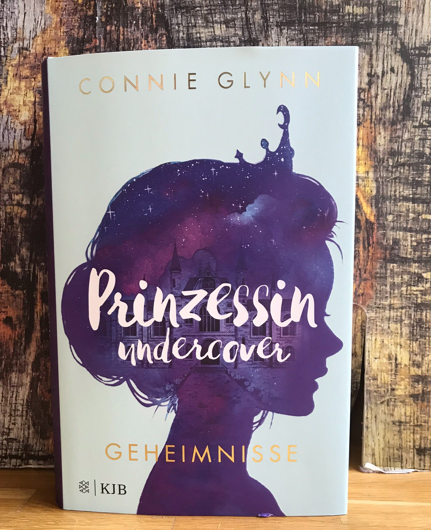 Prinzessin Undercover Geheimnisse Lass Mal Lesen Prinzessin Undercover Geheimnisse Lass Mal Lesen