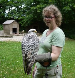 katja-mit-gerfalke2